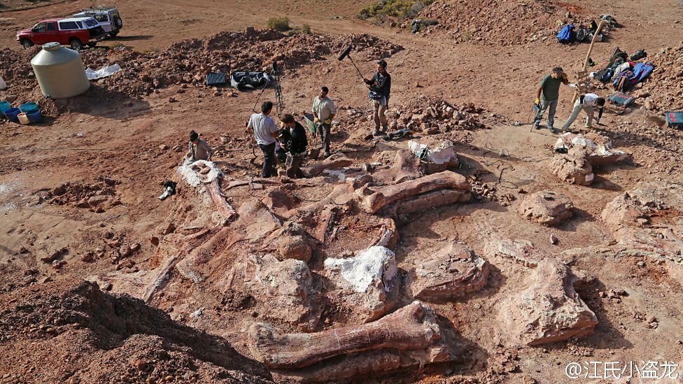 来自南美的巨龙再次刷新最大恐龙的记录