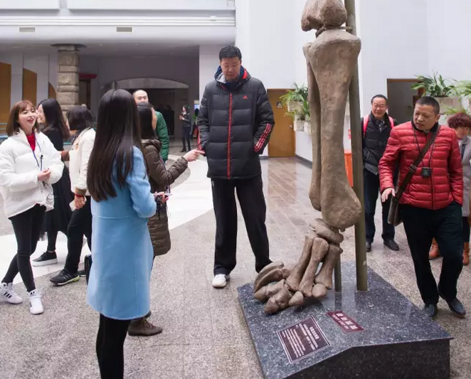 大郅是个恐龙迷